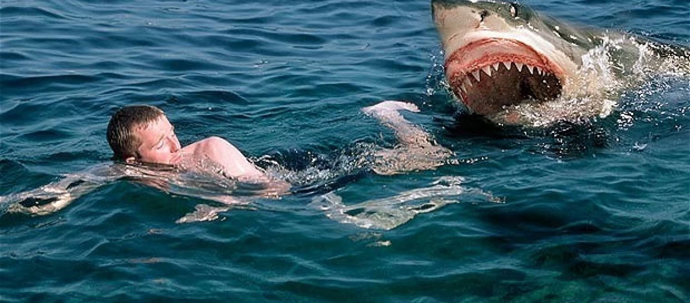 Μεθυσμένος πέθανε από επίθεση καρχαρία όταν μπήκε στη θάλασσα για... την ανάγκη του! (βίντεο)